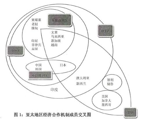 中西经济合作的案例分析