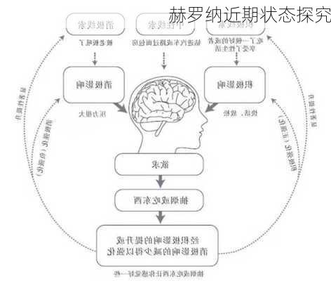 赫罗纳近期状态探究