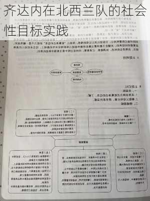 齐达内在北西兰队的社会性目标实践