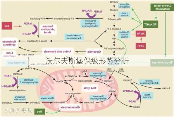 沃尔夫斯堡保级形势分析