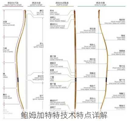 鲍姆加特特技术特点详解