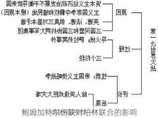 鲍姆加特尔伤缺对柏林联合的影响