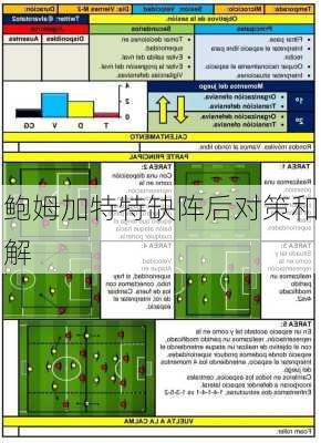 鲍姆加特特缺阵后对策和解