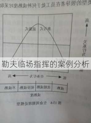 勒夫临场指挥的案例分析