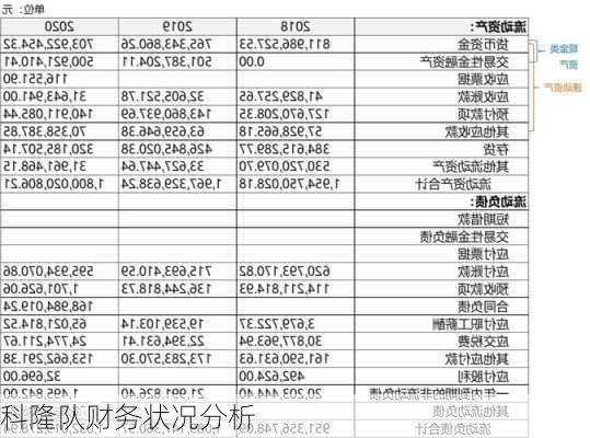 科隆队财务状况分析