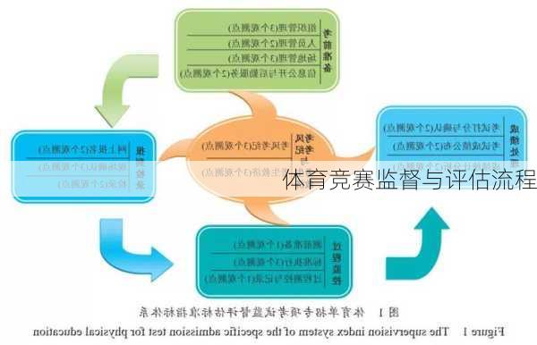 体育竞赛监督与评估流程