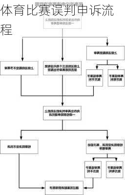 体育比赛误判申诉流程