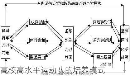 高校高水平运动队的培养模式