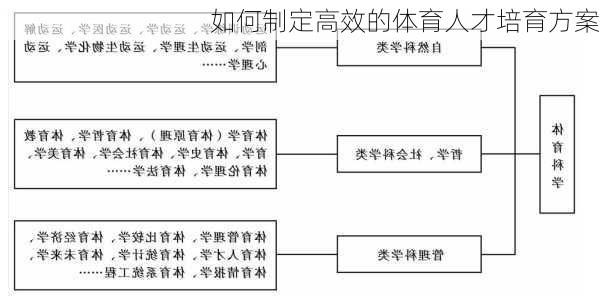 如何制定高效的体育人才培育方案