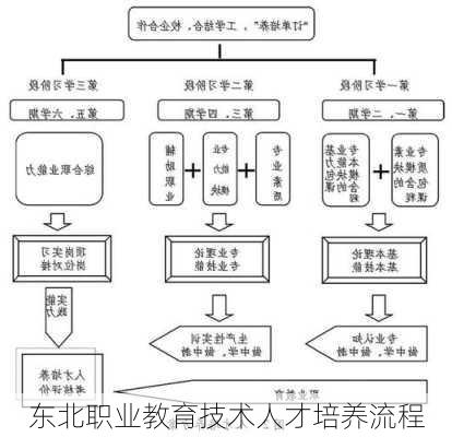 东北职业教育技术人才培养流程