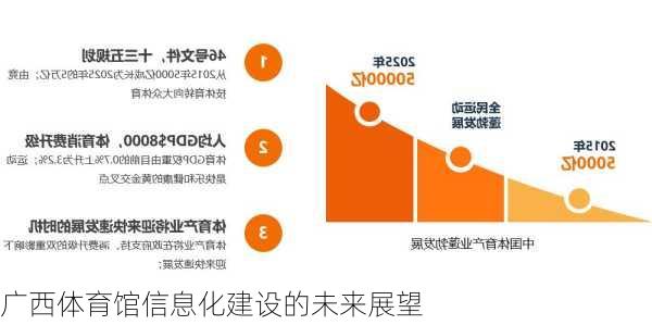 广西体育馆信息化建设的未来展望