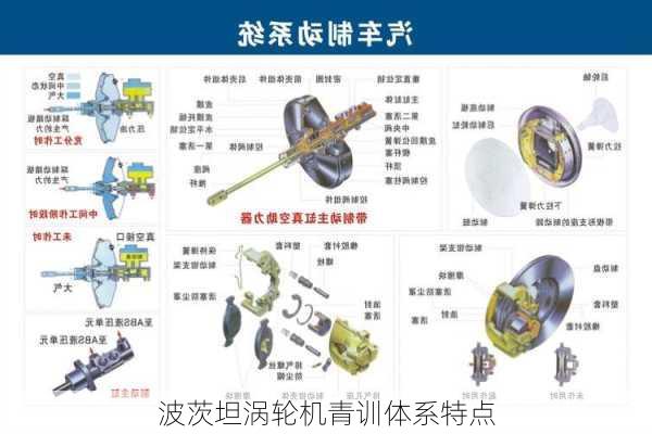 波茨坦涡轮机青训体系特点