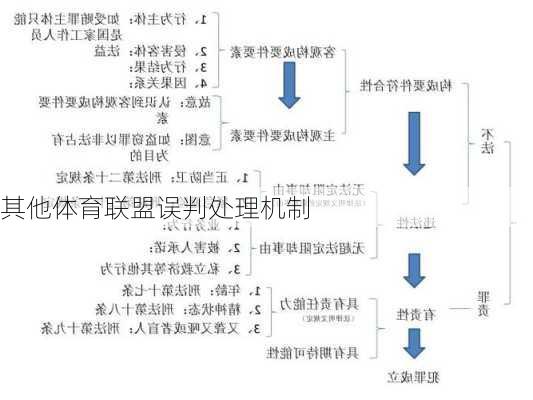 其他体育联盟误判处理机制