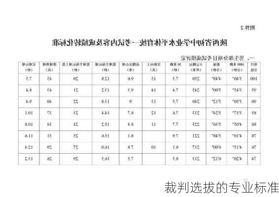 裁判选拔的专业标准