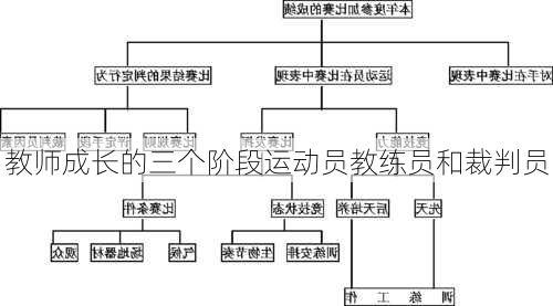 教师成长的三个阶段运动员教练员和裁判员