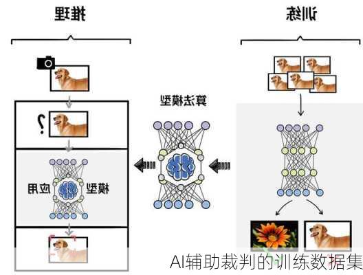 AI辅助裁判的训练数据集