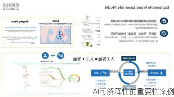 AI可解释性的重要性案例