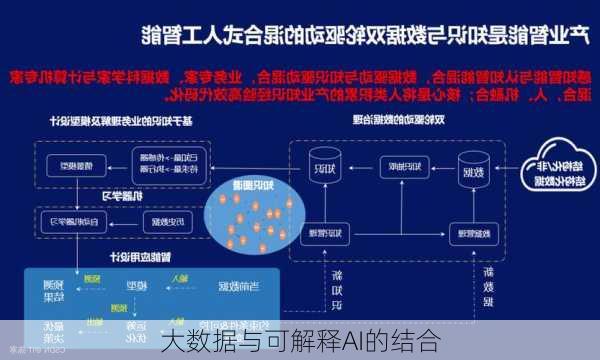 大数据与可解释AI的结合