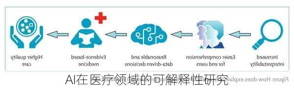 AI在医疗领域的可解释性研究