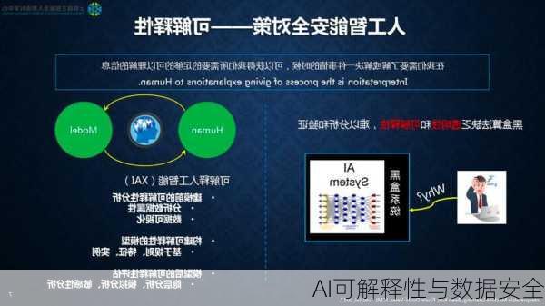 AI可解释性与数据安全