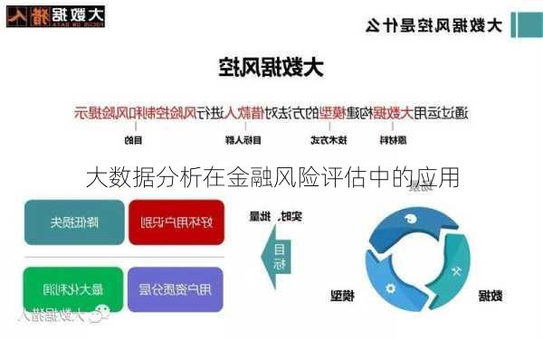 大数据分析在金融风险评估中的应用