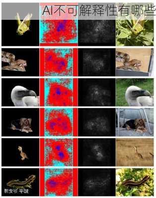 AI不可解释性有哪些