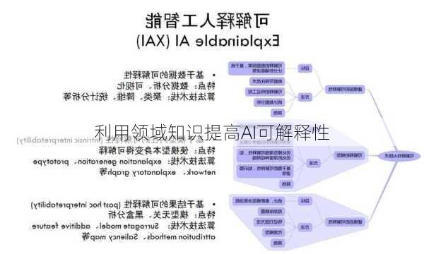 利用领域知识提高AI可解释性