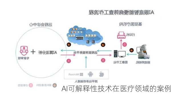 AI可解释性技术在医疗领域的案例