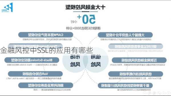 金融风控中SSL的应用有哪些