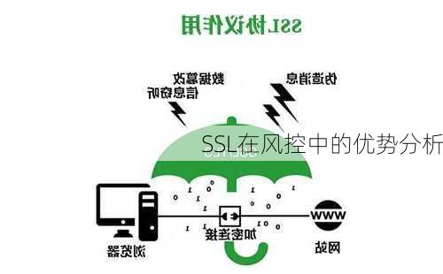 SSL在风控中的优势分析