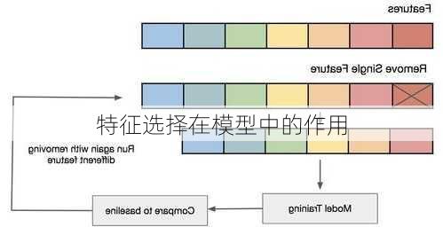 特征选择在模型中的作用