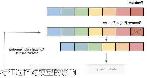 特征选择对模型的影响