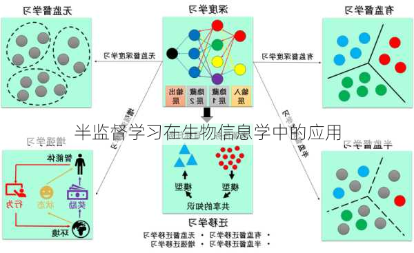 半监督学习在生物信息学中的应用