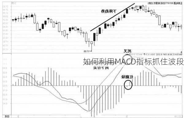 如何利用MACD指标抓住波段