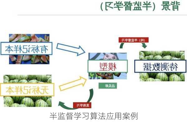 半监督学习算法应用案例