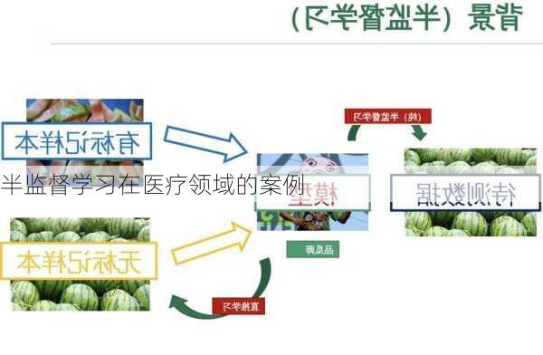 半监督学习在医疗领域的案例