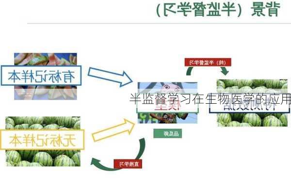 半监督学习在生物医学的应用