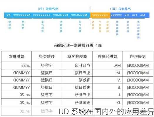 UDI系统在国内外的应用差异