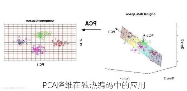 PCA降维在独热编码中的应用