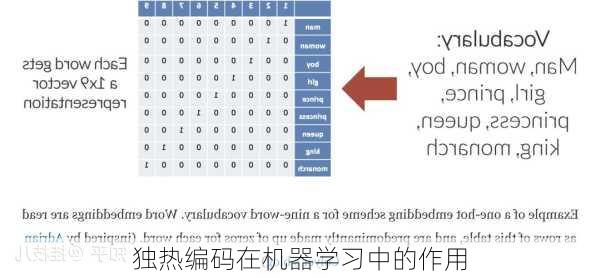 独热编码在机器学习中的作用