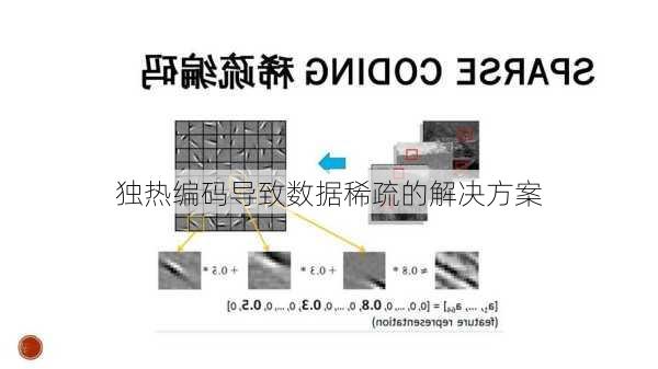 独热编码导致数据稀疏的解决方案