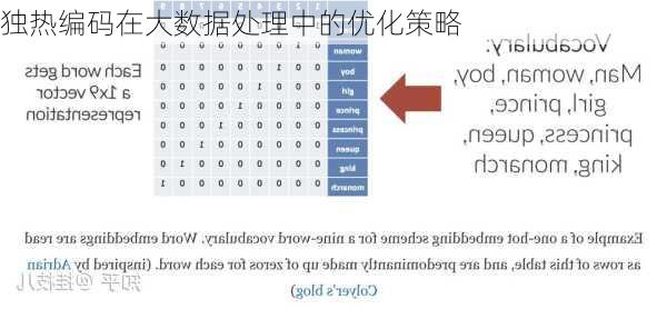 独热编码在大数据处理中的优化策略