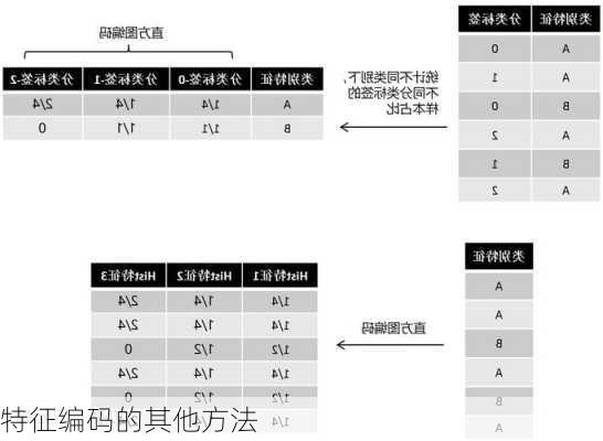 特征编码的其他方法