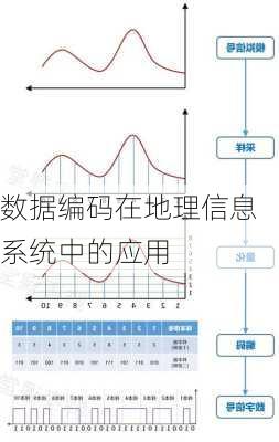 数据编码在地理信息系统中的应用