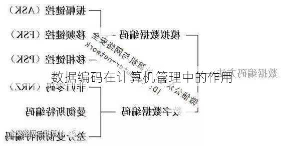 数据编码在计算机管理中的作用