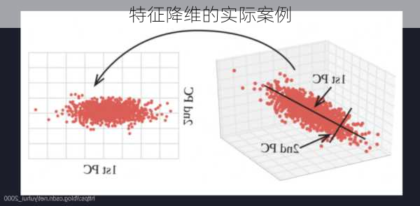 特征降维的实际案例