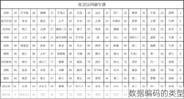 数据编码的类型