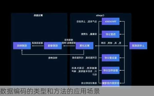 数据编码的类型和方法的应用场景