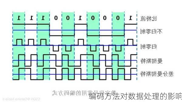 编码方法对数据处理的影响