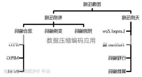 数据压缩编码应用